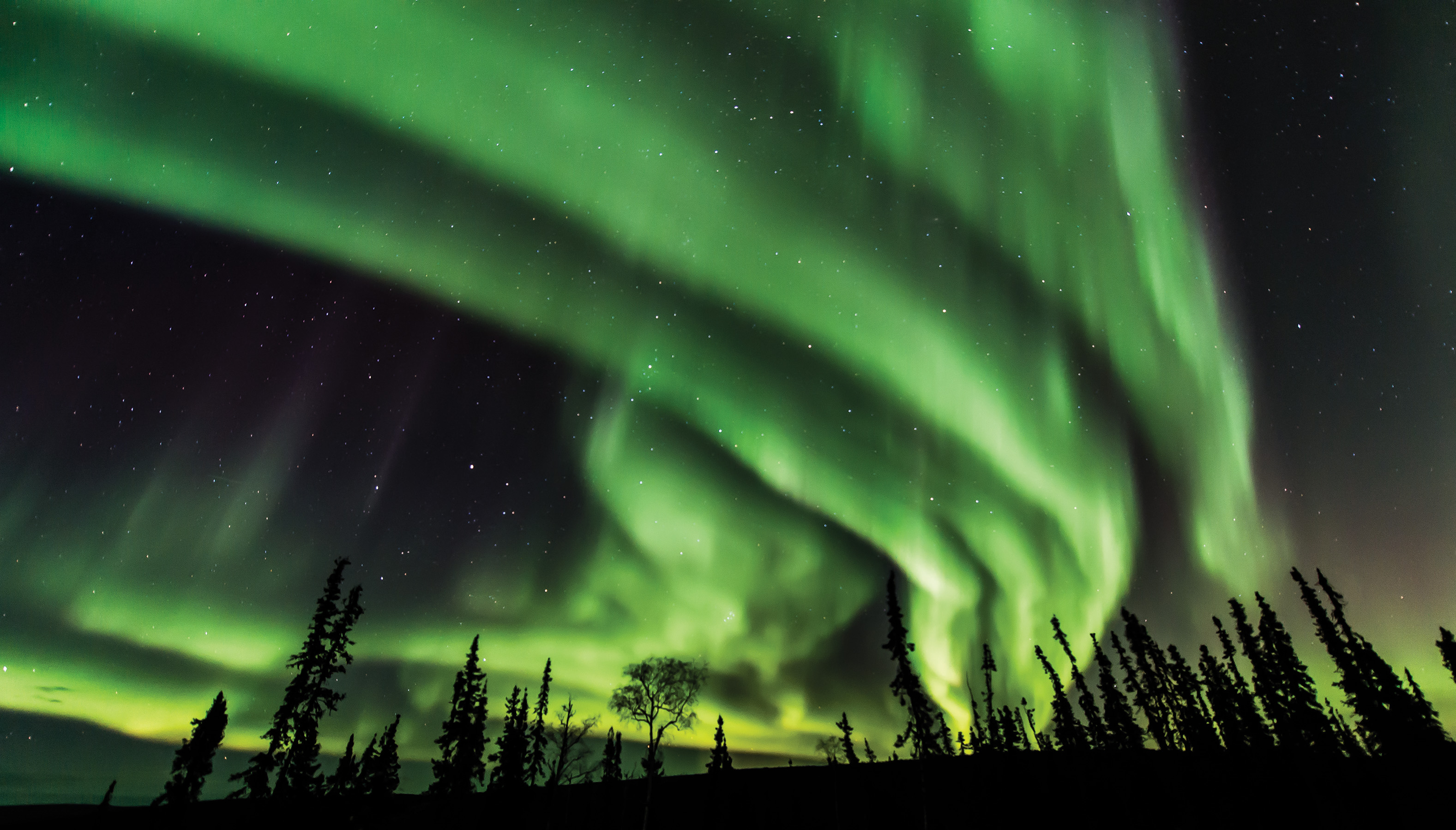 northern lights forecast alaska