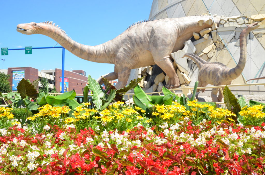 children's museum dinosaur