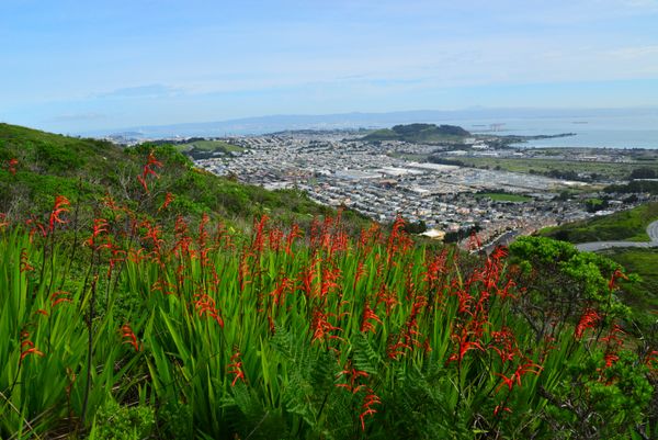 Visit a National Park this Summer—at San Francisco’s Golden Gate!